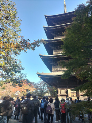 Img20251116143334 Img20251116143334