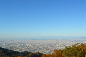 Dsc_0466_2